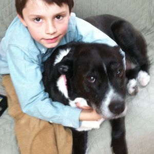 Meet your Posher, Beverly